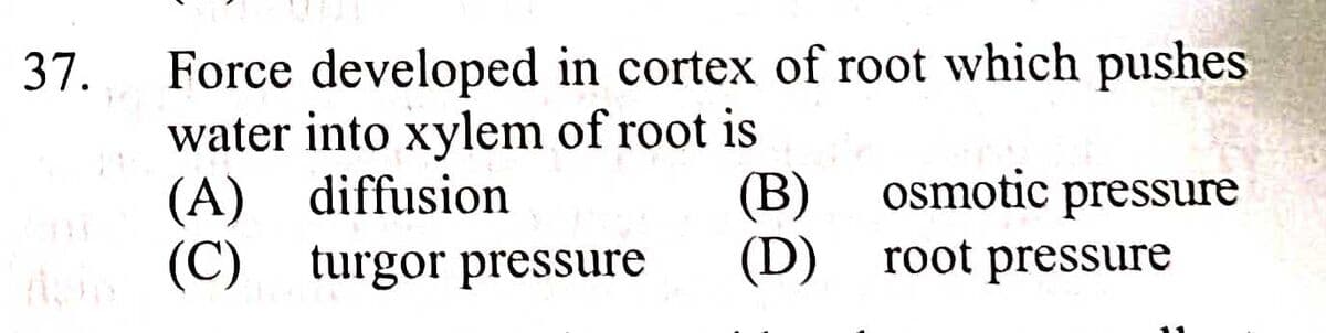 Question Image