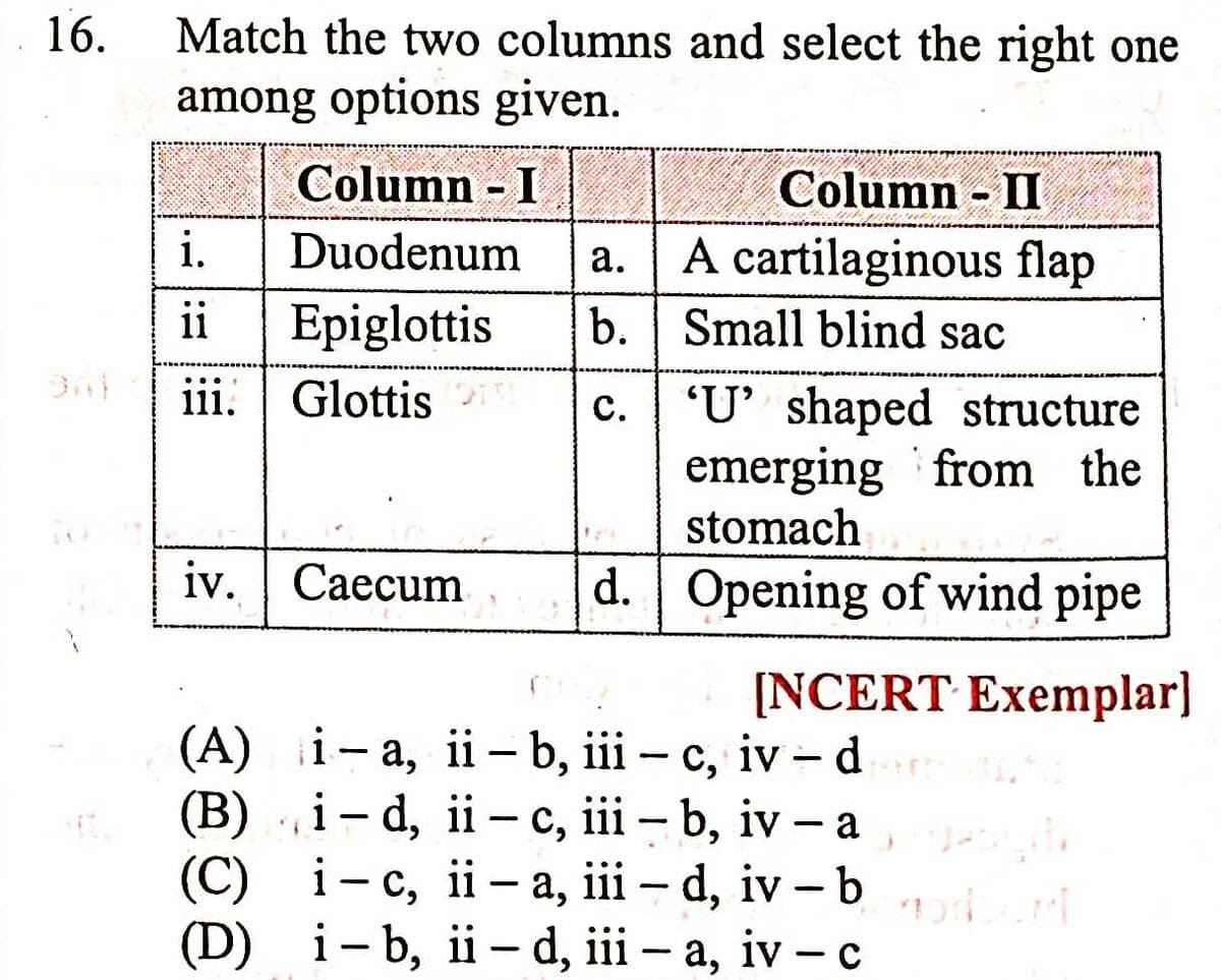 Question Image