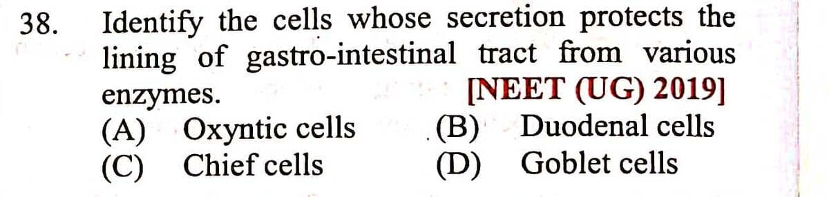 Question Image
