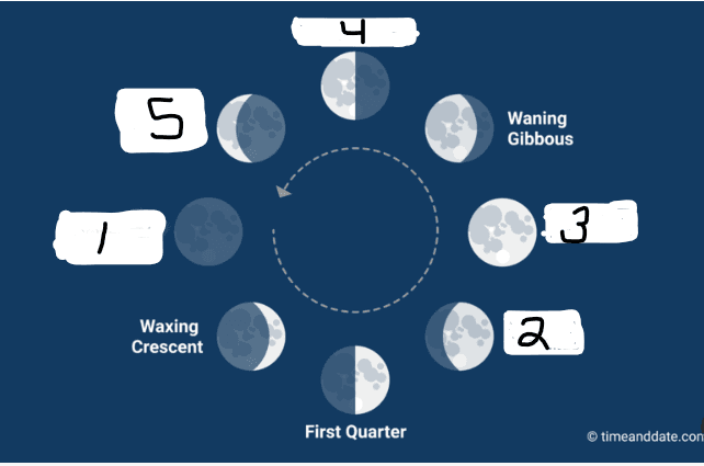 Question Image