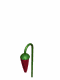 Answer Image