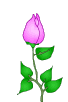 Answer Image