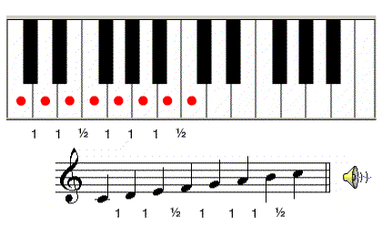 Answer Image