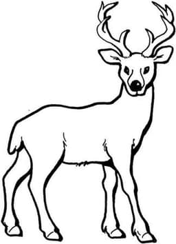 placeholder image to represent content