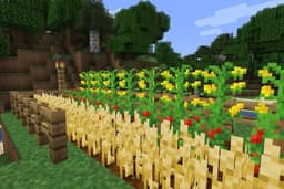 placeholder image to represent content