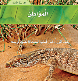 placeholder image to represent content