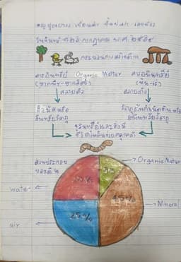 placeholder image to represent content