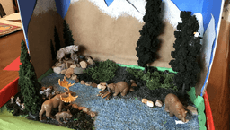 placeholder image to represent content
