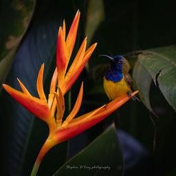 placeholder image to represent content