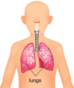 placeholder image to represent content