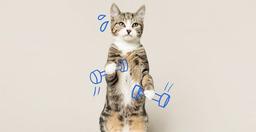 placeholder image to represent content