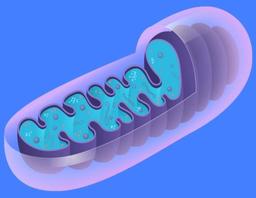 placeholder image to represent content