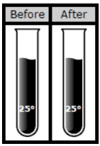 Answer Image