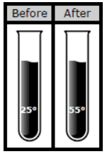 Answer Image