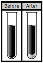 Answer Image
