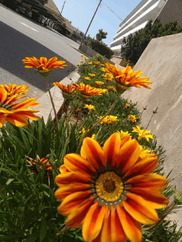 placeholder image to represent content