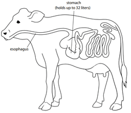 placeholder image to represent content