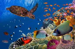 placeholder image to represent content