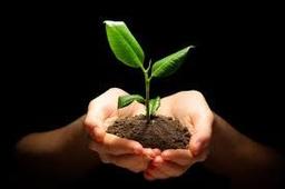 placeholder image to represent content