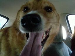 placeholder image to represent content