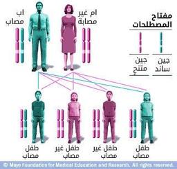 placeholder image to represent content