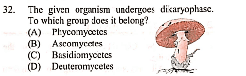 Question Image