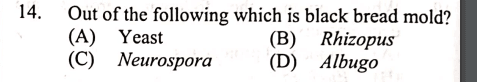 Question Image