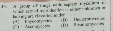 Question Image