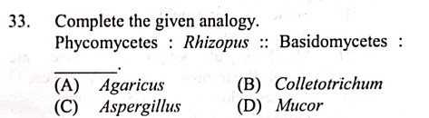 Question Image