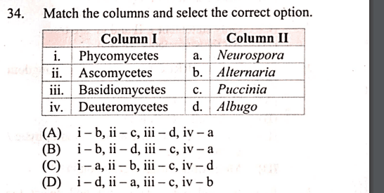 Question Image