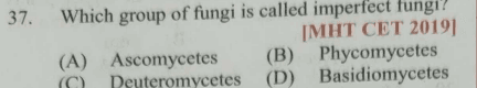 Question Image