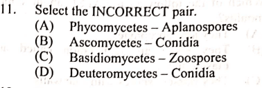 Question Image