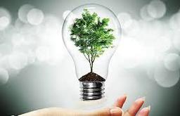 placeholder image to represent content