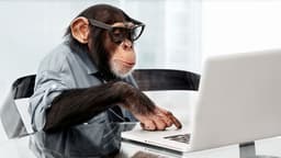 placeholder image to represent content