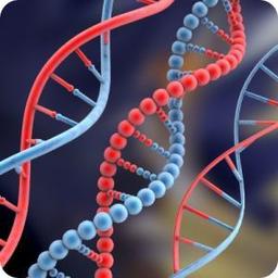 placeholder image to represent content