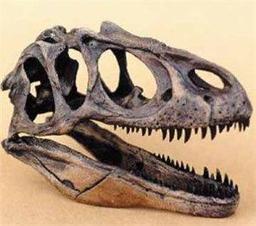 placeholder image to represent content