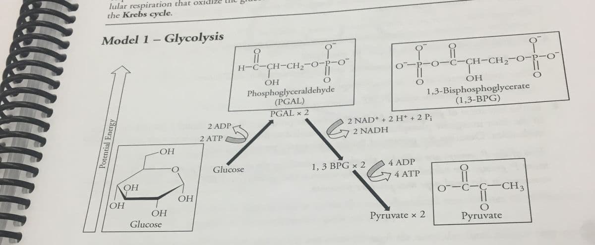 Question Image