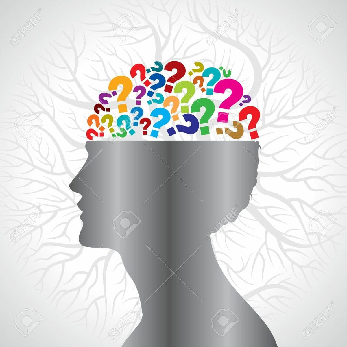 Question Image