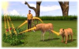 placeholder image to represent content