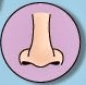 Answer Image