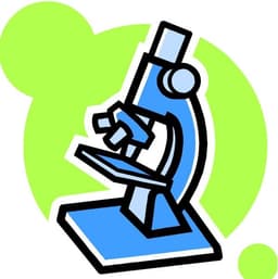 placeholder image to represent content