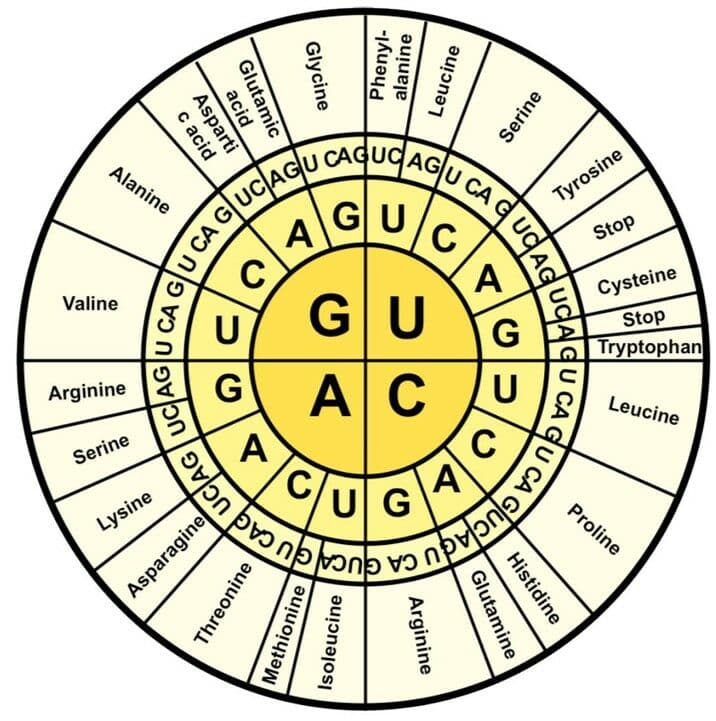 Question Image