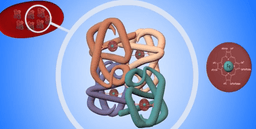 placeholder image to represent content