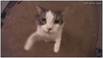 placeholder image to represent content
