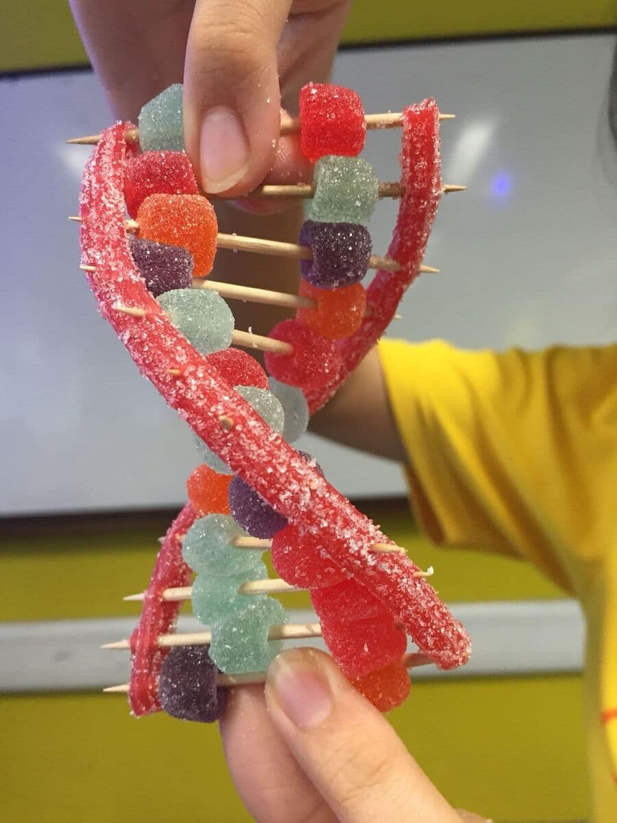 Question Image