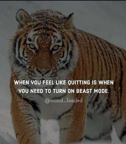 placeholder image to represent content