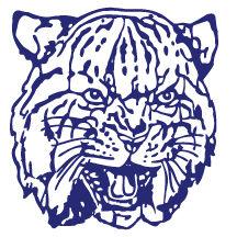 placeholder image to represent content