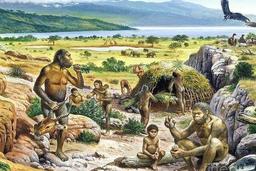 placeholder image to represent content