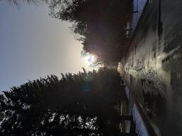 placeholder image to represent content