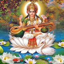 placeholder image to represent content